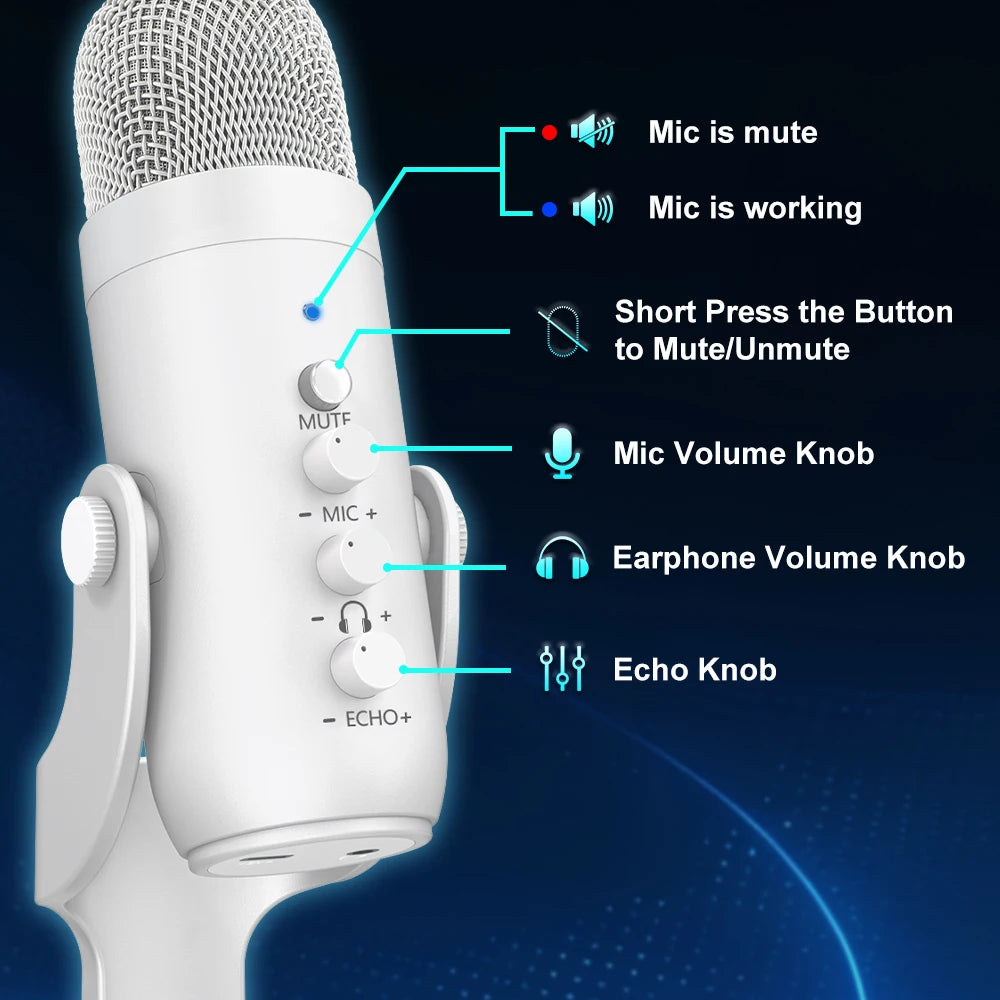 Professional White Microphone