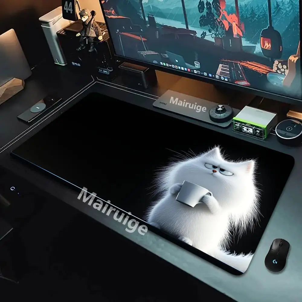 black cat 🐈‍⬛